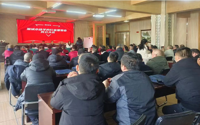澄城县餐饮行业协会水盆羊肉行业委员会成立-图片2