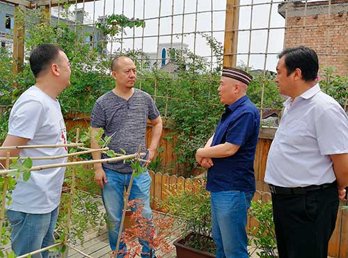 白剑波|入冬,在老金家吃萝卜泡馍-图片3